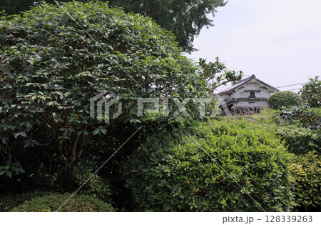 土居廓中の伝統的建造物群保存地区内の野村隆男家住宅から見る寺村徳夫家住宅蔵(登録有形文化財 土居廓中の伝統的建造物群保存地区内の野村隆男家住宅から見る寺村徳夫家住宅蔵(登録有形文化財 128339263