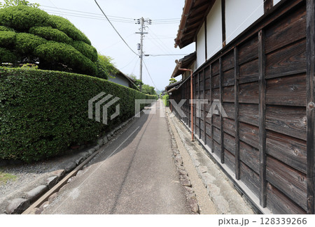 土居廓中の伝統的建造物群保存地区内の南北の路（右は武家屋敷の野村家住宅） 128339266