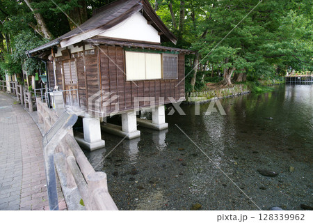 三島市 白滝公園 三島市 白滝公園 128339962