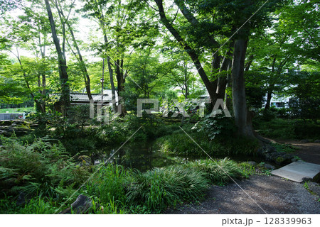三島市 白滝公園 三島市 白滝公園 128339963