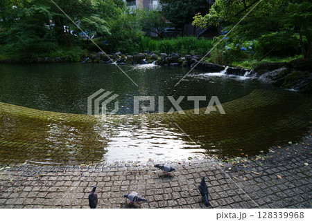 三島市　白滝公園 128339968