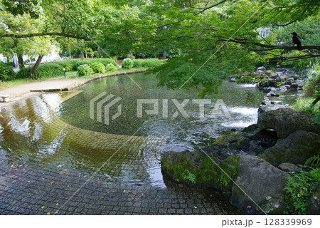 三島市　白滝公園 128339969