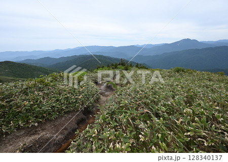 平ヶ岳、登山、新潟県 平ヶ岳、登山、新潟県 128340137