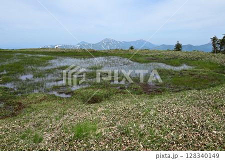 平ヶ岳、登山、新潟県 128340149