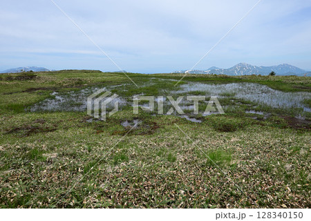 平ヶ岳、登山、新潟県 128340150