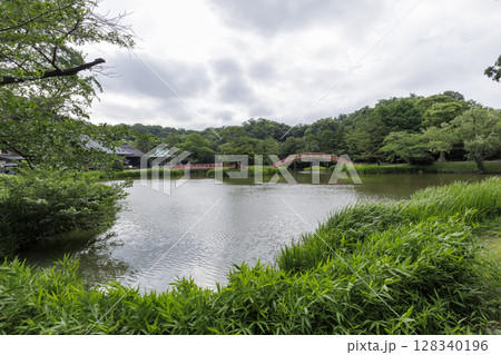 横浜市金沢区称名寺の夏 横浜市金沢区称名寺の夏 128340196