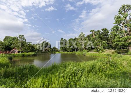 横浜市金沢区称名寺の夏 128340204