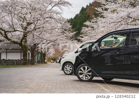 島田市川根町の家山の桜トンネルの風景(静岡県) 128340212