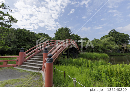 横浜市金沢区称名寺の夏 128340299