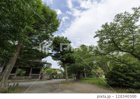 横浜市金沢区称名寺の夏 128340300
