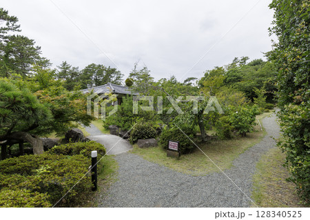 葉山しおさい公園の夏 葉山しおさい公園の夏 128340525