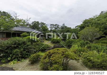 葉山しおさい公園の夏 128340527