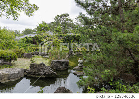 葉山しおさい公園の夏 128340530