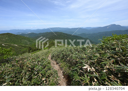 平ヶ岳、登山、新潟県 128340704