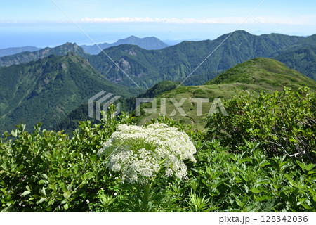 雨飾山、登山、新潟県 128342036