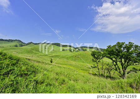 新緑の砥峰高原 新緑の砥峰高原 128342169