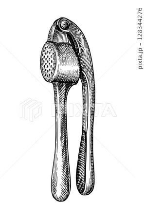 Garlic press ink sketch 128344276