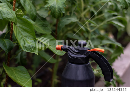 Black Pump Sprayer for Plant Care in a Lush Green Garden 128344535