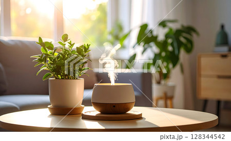 テーブルに置かれた観葉植物とディフューザーのある風景 テーブルに置かれた観葉植物とディフューザーのある風景 128344542