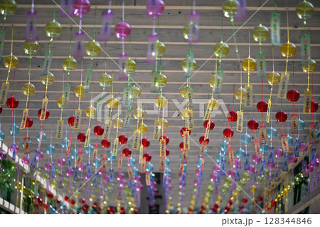 西教寺 西教寺 128344846