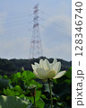 鉄塔と白い蓮の花 128346740