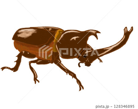 力強いカブトムシの全身　色鉛筆風 128346895