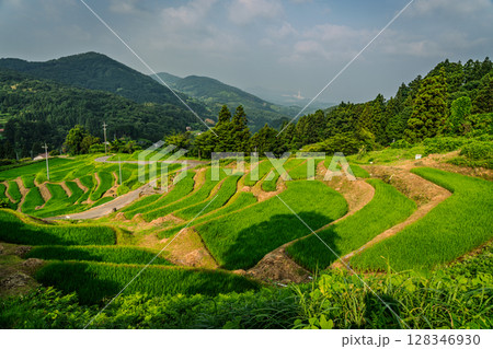 室谷の棚田 島根県浜田市 室谷の棚田 島根県浜田市 128346930