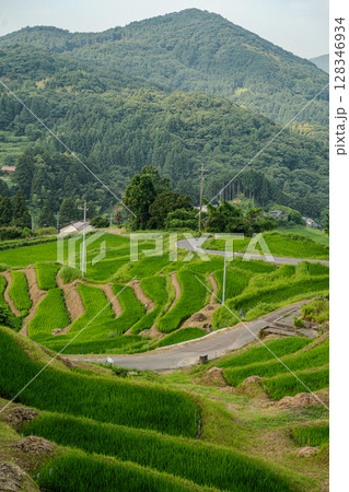 室谷の棚田 島根県浜田市 室谷の棚田 島根県浜田市 128346934