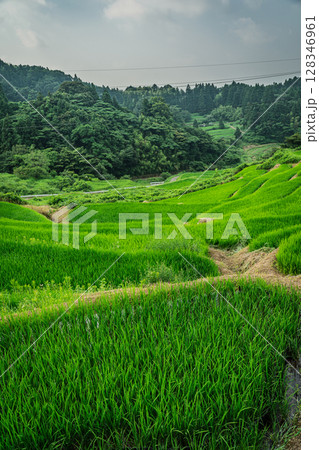 広がる棚田 室谷の棚田 島根県浜田市 広がる棚田 室谷の棚田 島根県浜田市 128346961