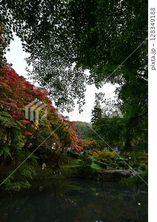 丹波篠山の紅葉 丹波篠山の紅葉 128349188
