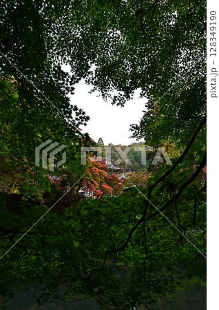 丹波篠山の紅葉 丹波篠山の紅葉 128349190