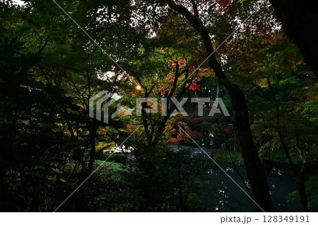 丹波篠山の紅葉 丹波篠山の紅葉 128349191
