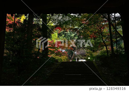 丹波篠山の紅葉 丹波篠山の紅葉 128349316