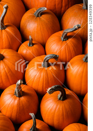 Close-up flat lay of many orange pumpkins in top view composition 128349399