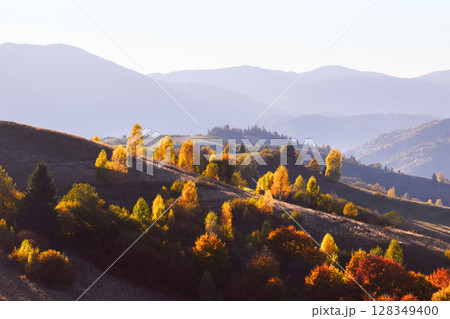 Colorful autumn trees glow in the rays of the rising sun Colorful autumn trees glow in the rays of the rising sun 128349400