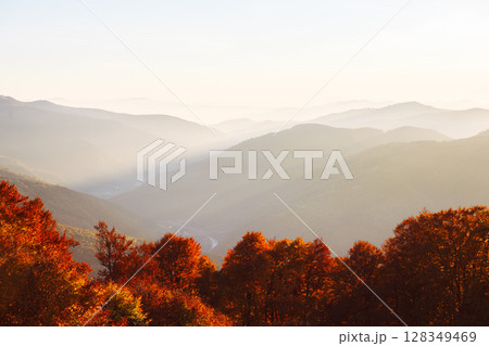 Sunset glow falls on vibrant autumn forest with misty mountains 128349469