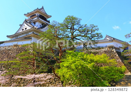 春の高知城 128349872
