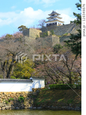 春の丸亀城(縦構図) 春の丸亀城(縦構図) 128349876