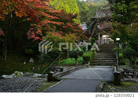 紅葉に包まれた寺院の参道 紅葉に包まれた寺院の参道 128350021