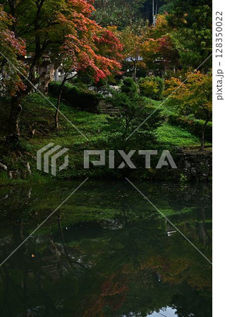 丹波篠山の紅葉 128350022