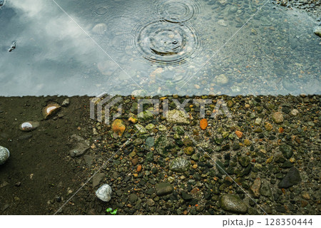 PLフィルター未使用と使用時の比較画像【水溜まり】 128350444