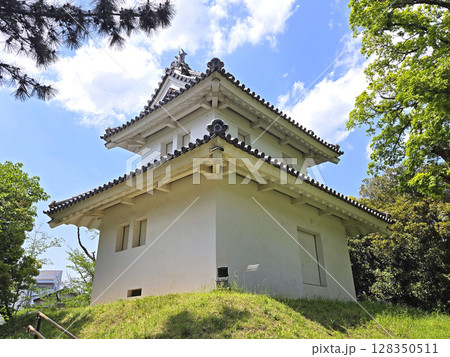 亀城公園(土浦城跡)【茨城県土浦市】 亀城公園(土浦城跡)【茨城県土浦市】 128350511