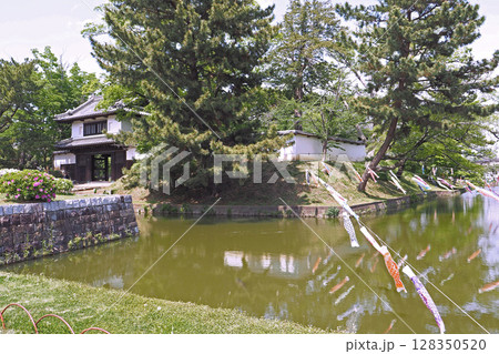 亀城公園(土浦城跡)【茨城県土浦市】 亀城公園(土浦城跡)【茨城県土浦市】 128350520