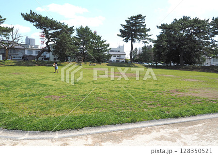 亀城公園（土浦城跡）【茨城県土浦市】 128350521