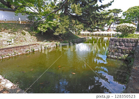 亀城公園（土浦城跡）の堀【茨城県土浦市】 128350523