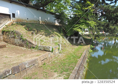 亀城公園（土浦城跡）【茨城県土浦市】 128350524