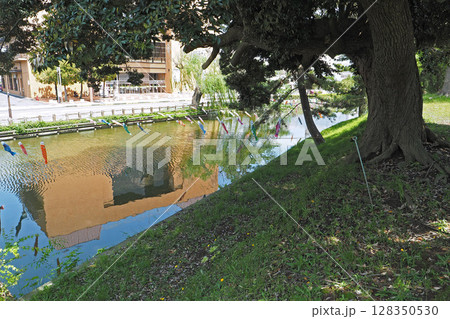 亀城公園(土浦城跡)の堀【茨城県土浦市】 亀城公園(土浦城跡)の堀【茨城県土浦市】 128350530