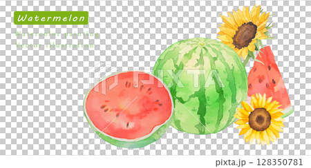 ひまわりとカットスイカの水彩ベクターイラストセット 128350781
