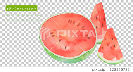 Vector illustration of cut watermelon painted in watercolor 128350785
