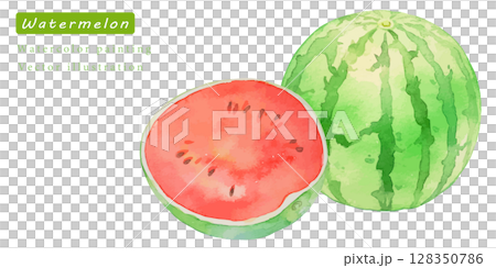 Vector illustration of cut watermelon painted in watercolor 128350786